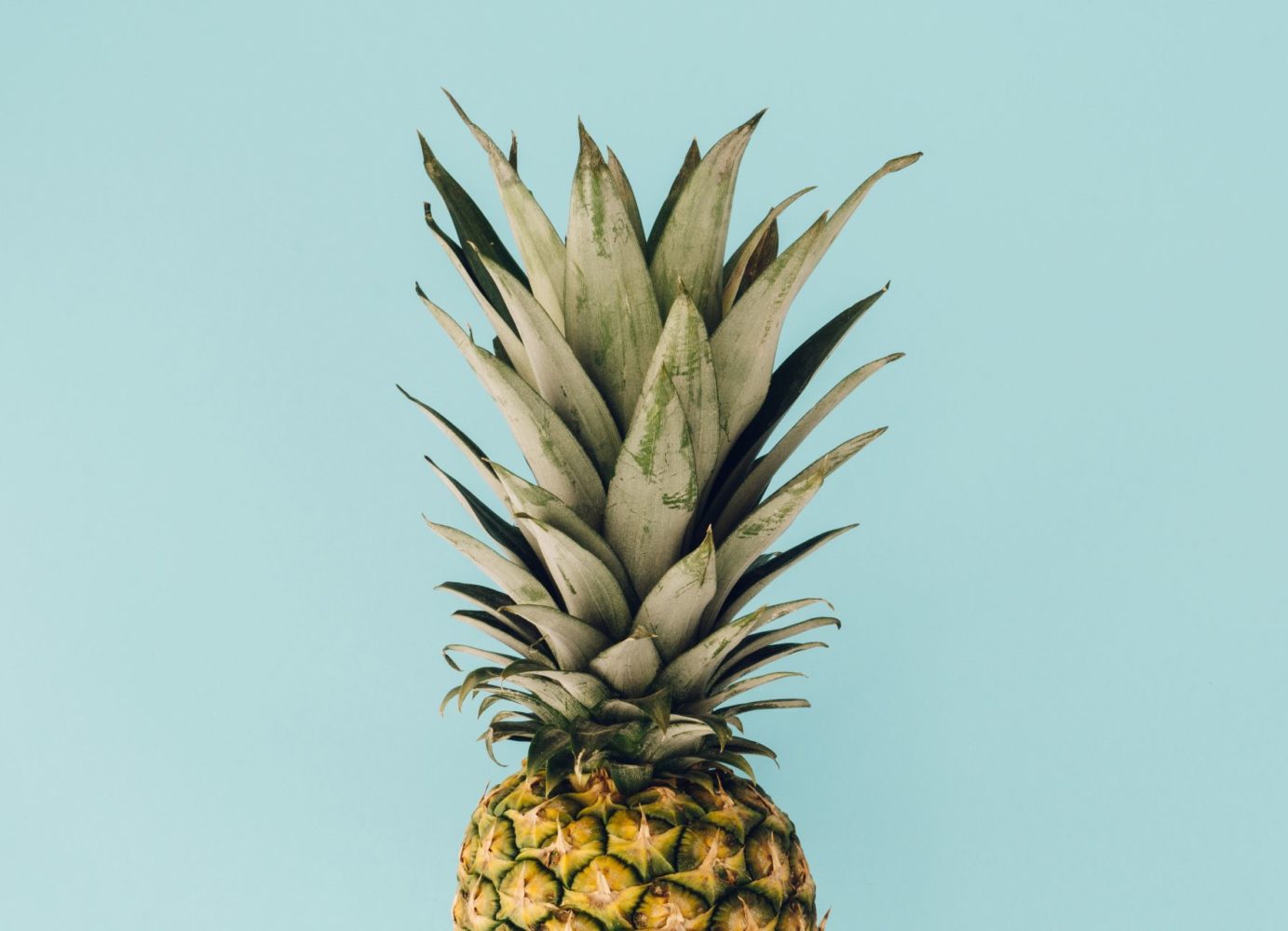 The Pineapple